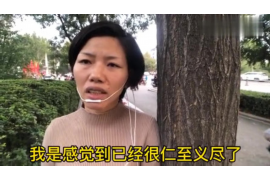 吴堡融资清欠服务